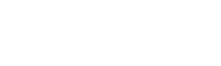 Carnival Corporation Logo