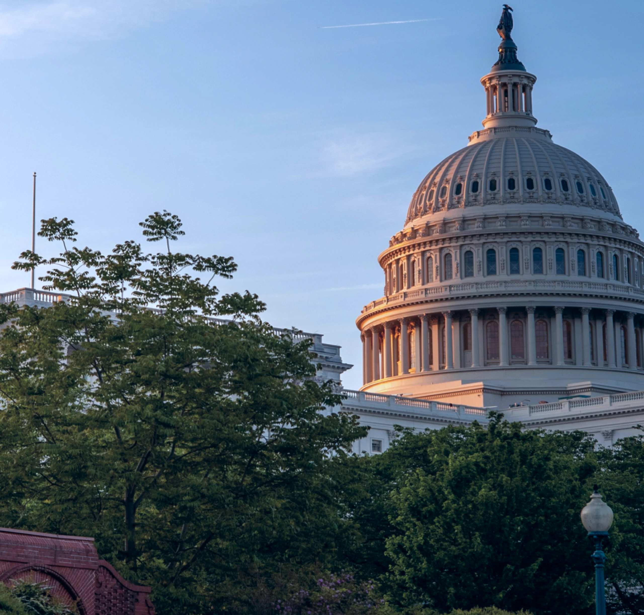 m-08-image-card-brand-image-federal-government-capitol-building.webp