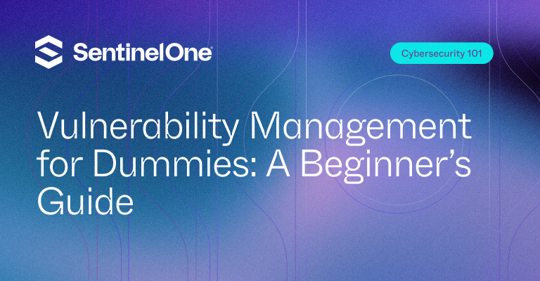 Vulnerability Management für Dummies – Ausgewähltes Bild | SentinelOne