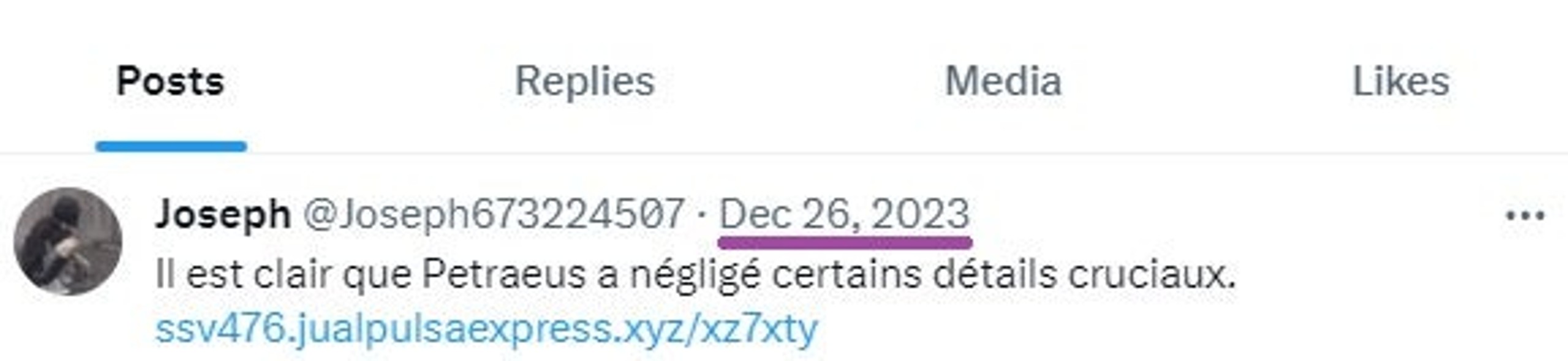 An active and idle suspected Doppelgänger account