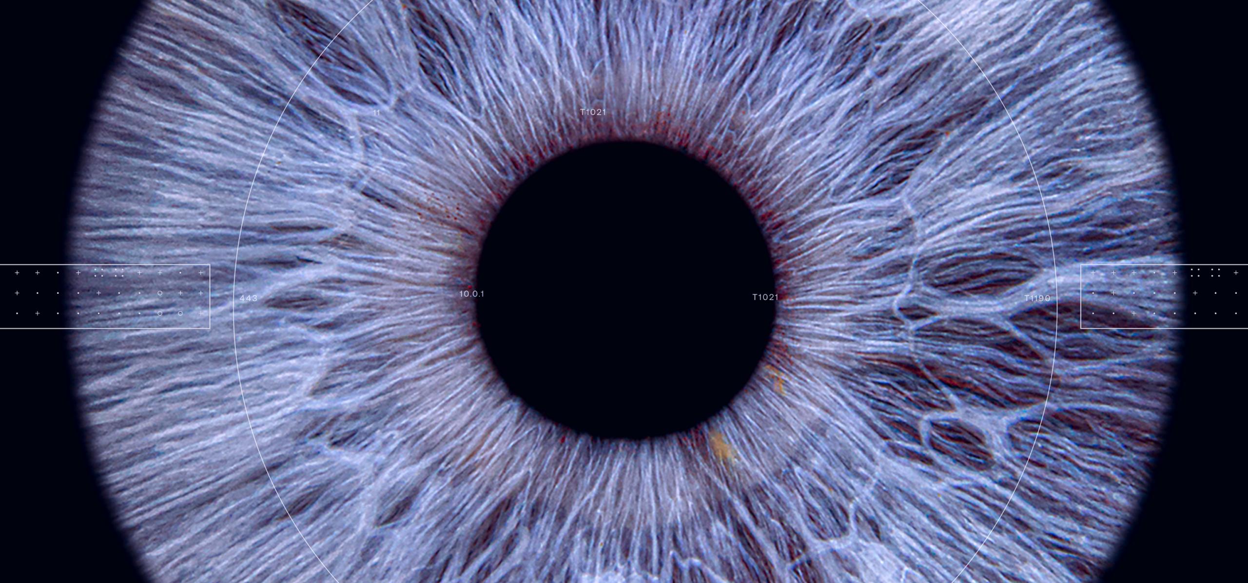 O-15-image-card-grid-brand-image-iris-zoomed-in.webp