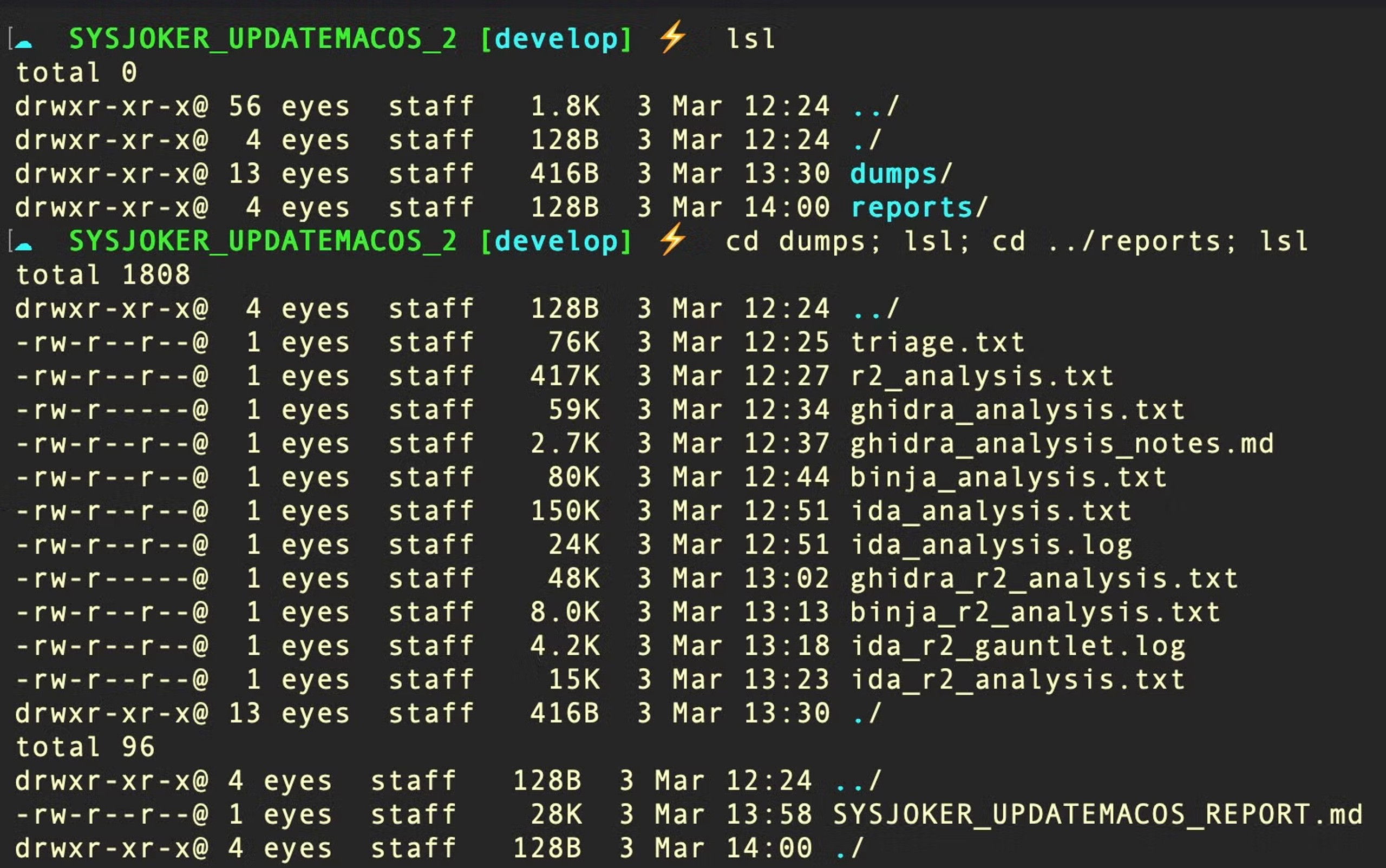 Each tool dumps its analysis to disk before the final report is created