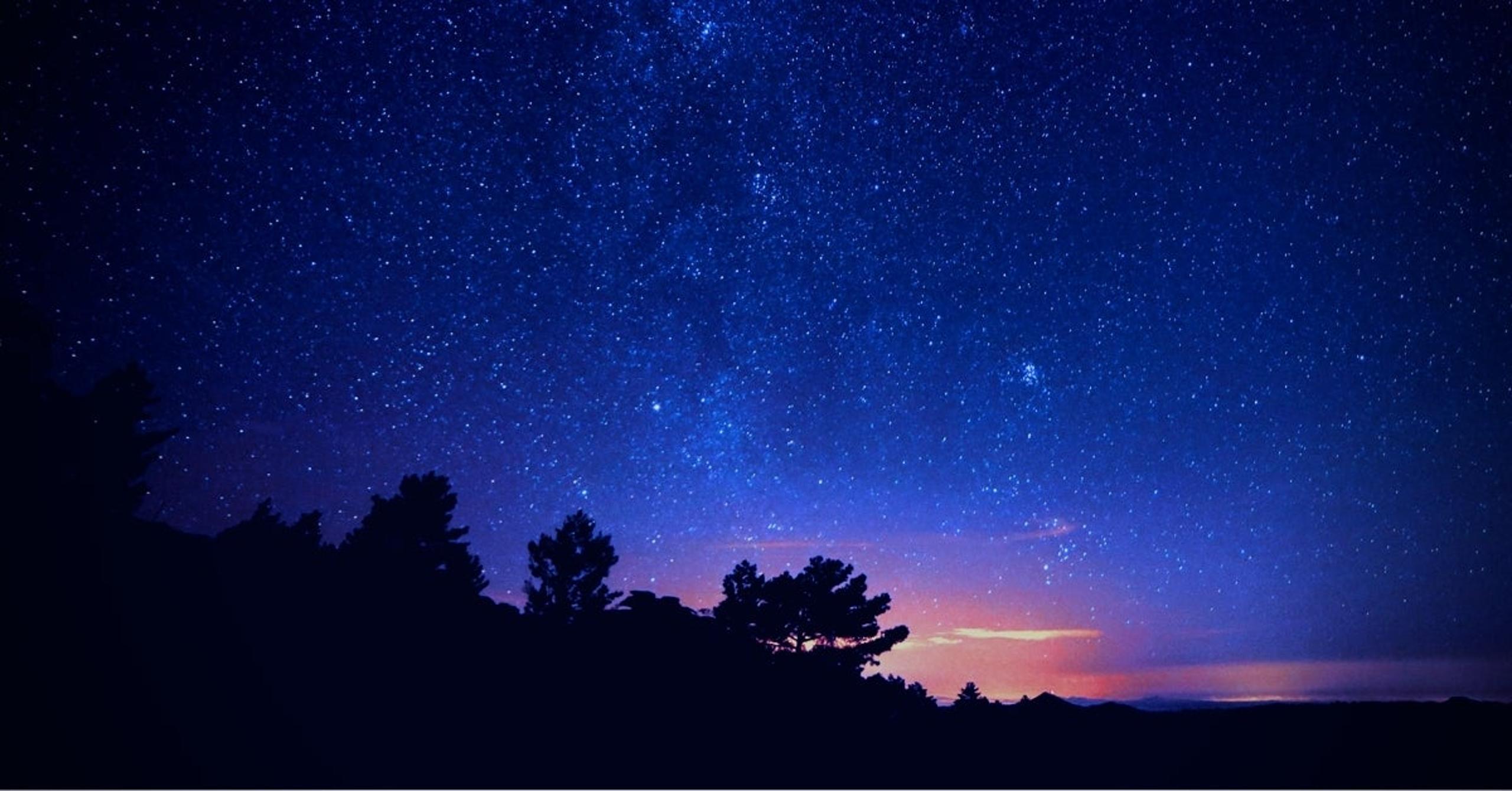 Customize Your EDR To Adapt To Your Environment With SentinelOne Storyline Active Response (STAR)