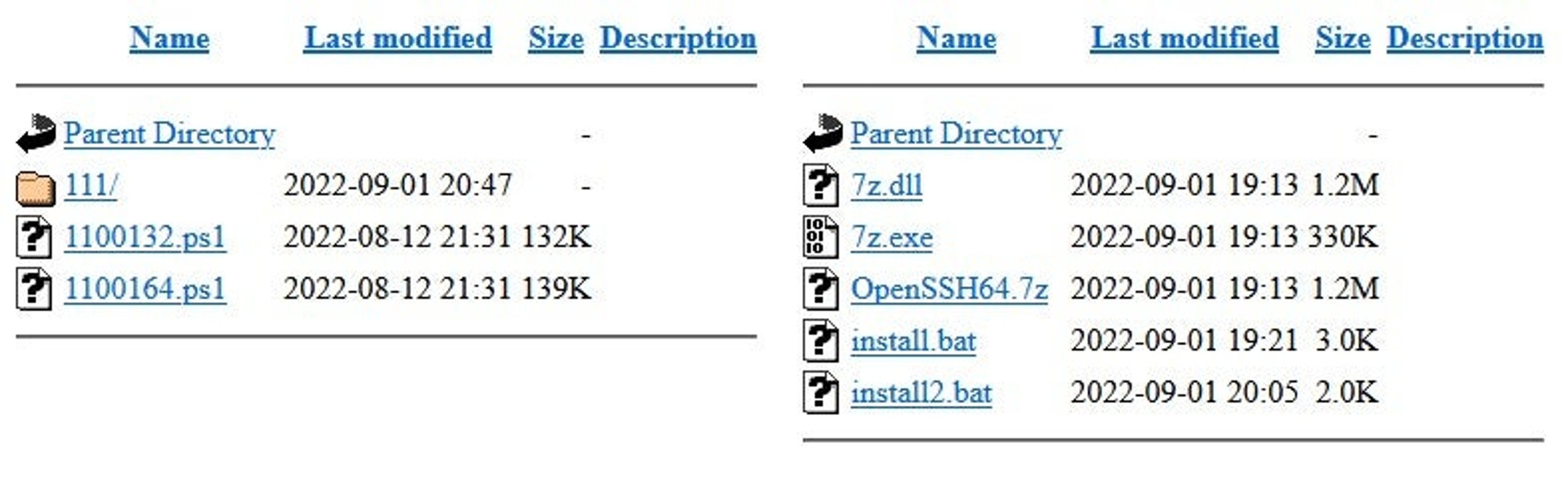 FIN7 open directory web server