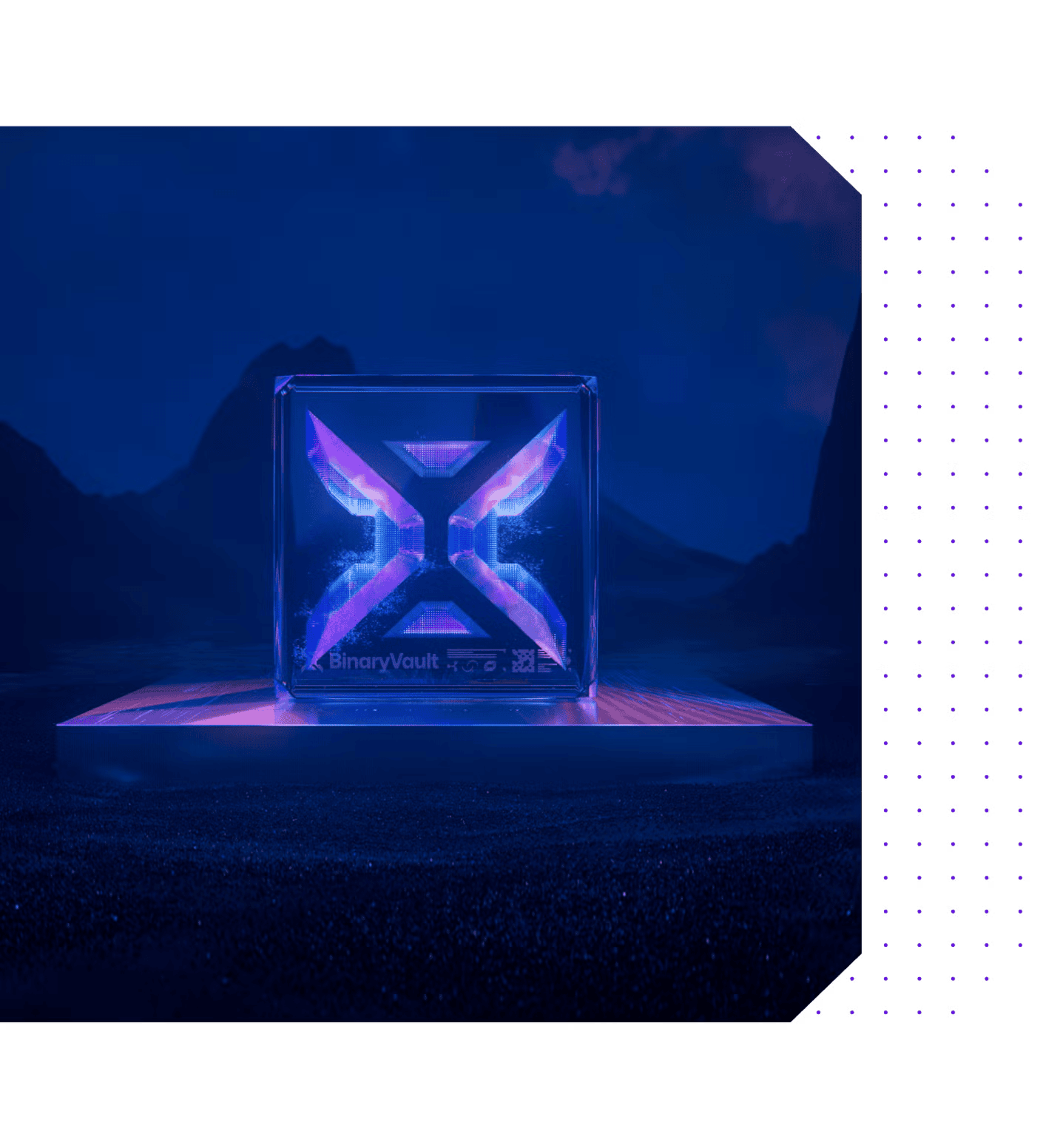 Singularity_BinaryVault_FileUpload.png