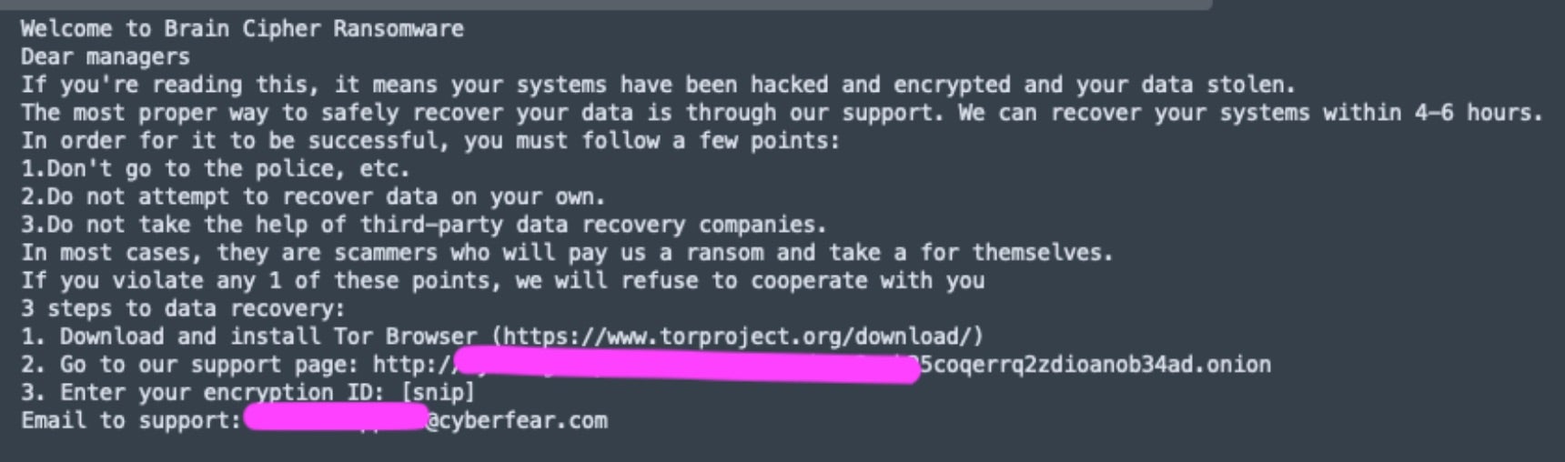Brain Cipher Ransomware - Ransom Note | SentinelOne