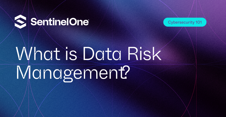 Data Risk Management - Featured Image | SentinelOne