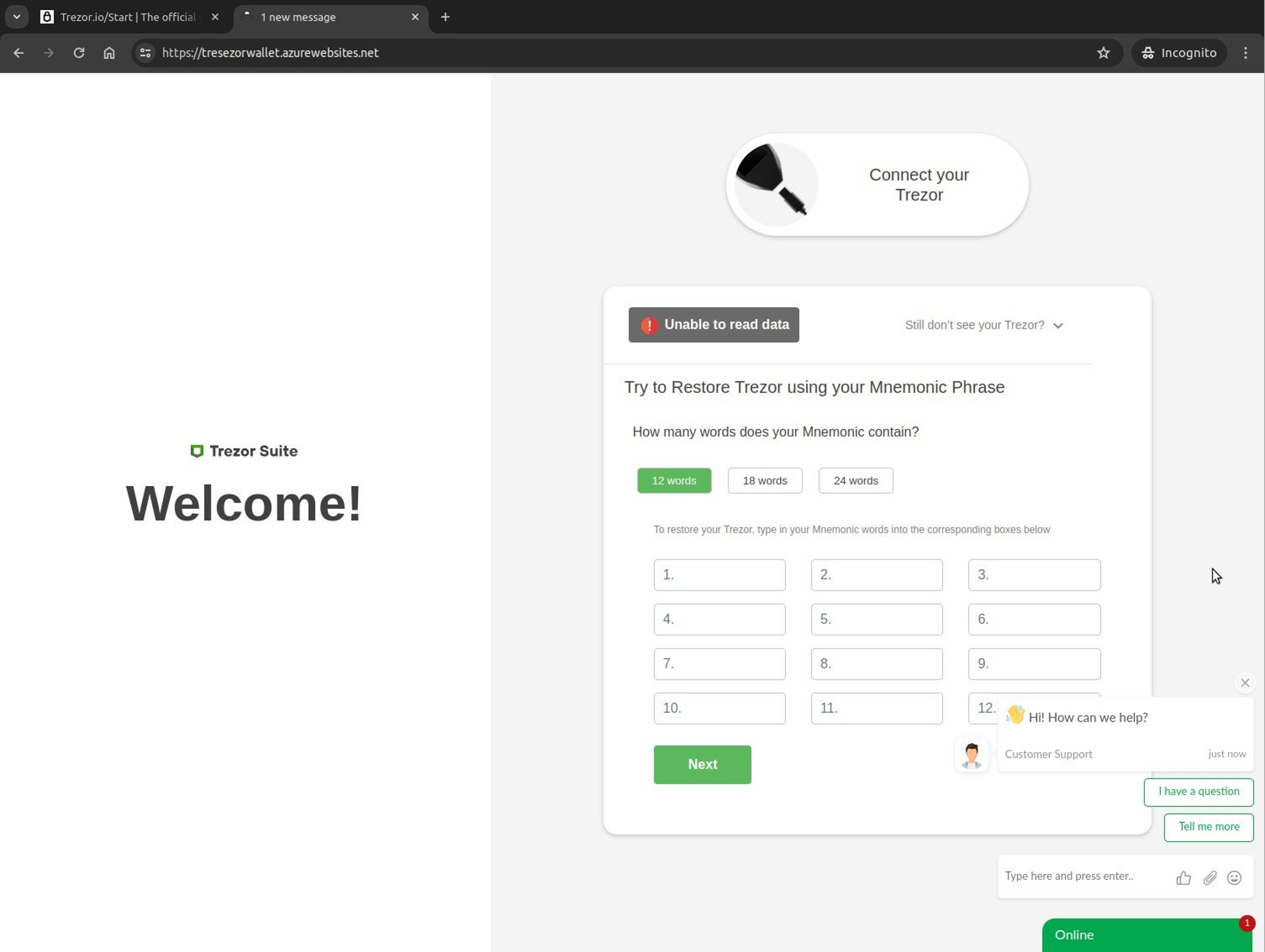 Live chat interaction on a phishing page hosted in Azure