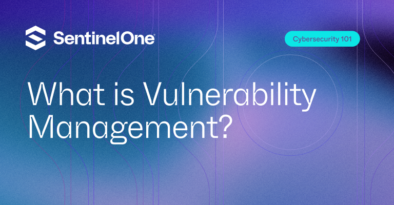 Vulnerability Management - Featured Image | SentinelOne