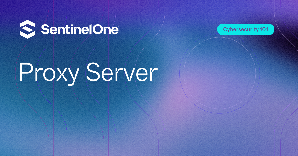 Proxy Servers 101: Definition, Types, and Uses