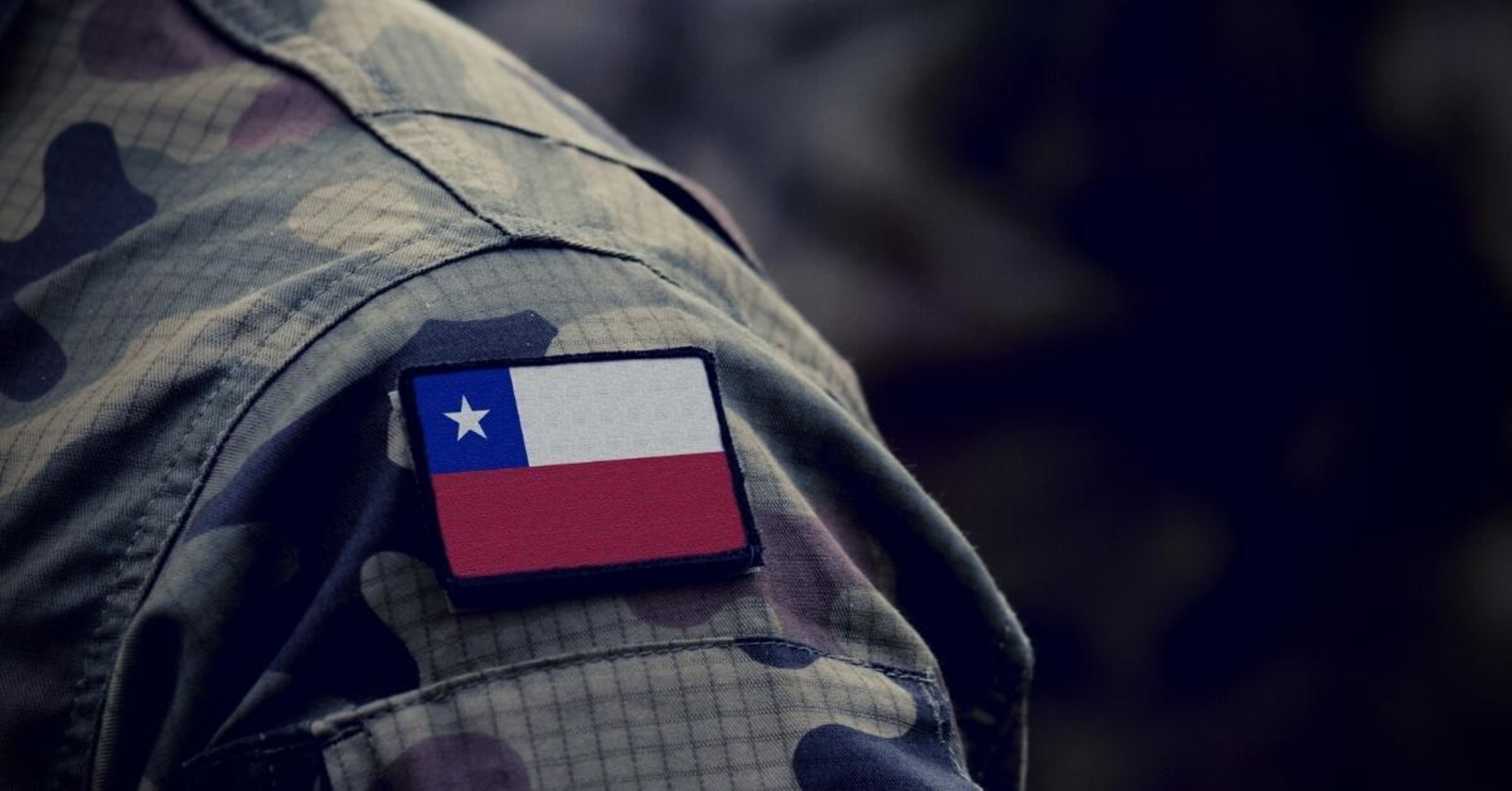 Rhysida-Ransomware-RaaS-Crawls-Out-of-Crimeware-Undergrowth-to-Attack-Chilean-Army-3