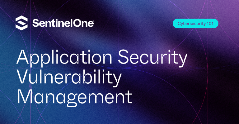 アプリケーションセキュリティ脆弱性管理 - 特集画像 | SentinelOne