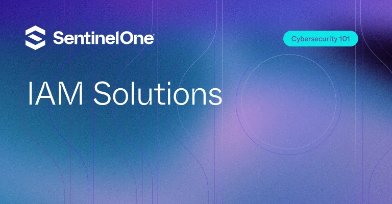 IAM Solutions - Featured Image | SentinelOne