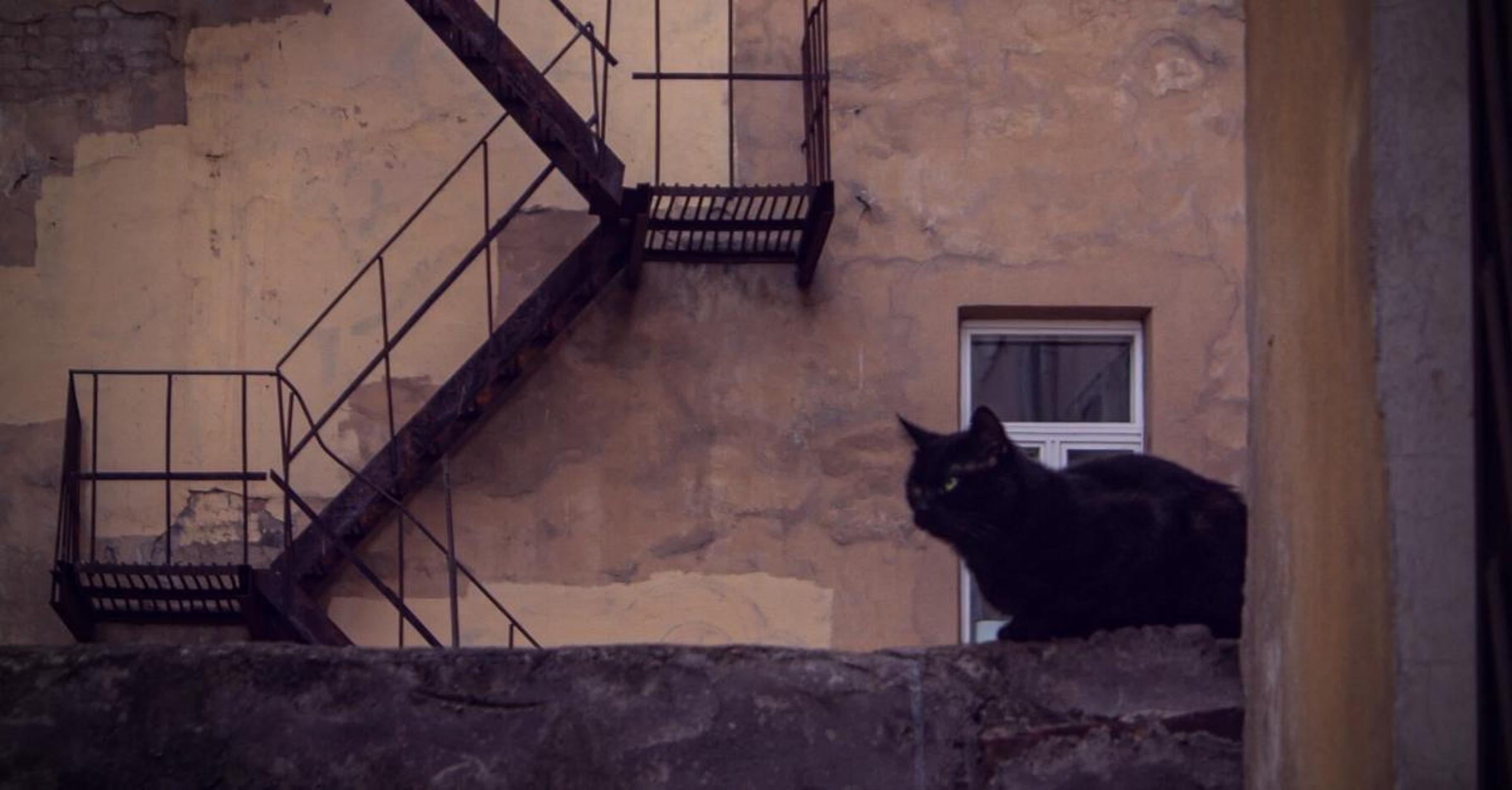 BlackCat Ransomware | Highly-Configurable, Rust-Driven RaaS On The Prowl For Victims