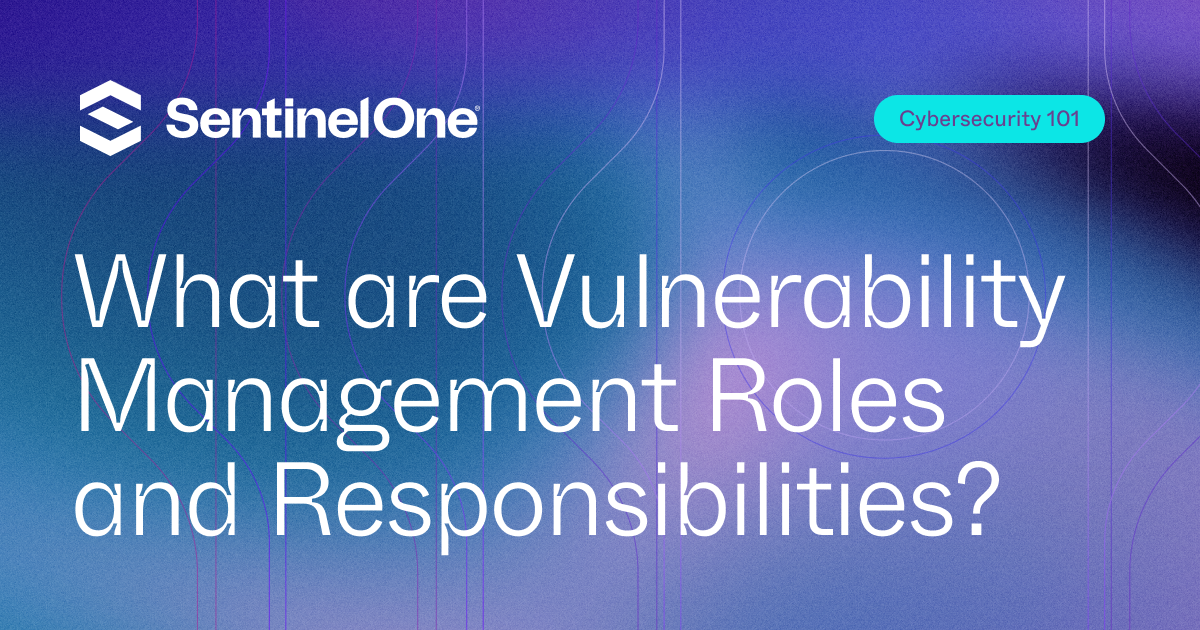 What are Vulnerability Management Roles and Responsibilities?
