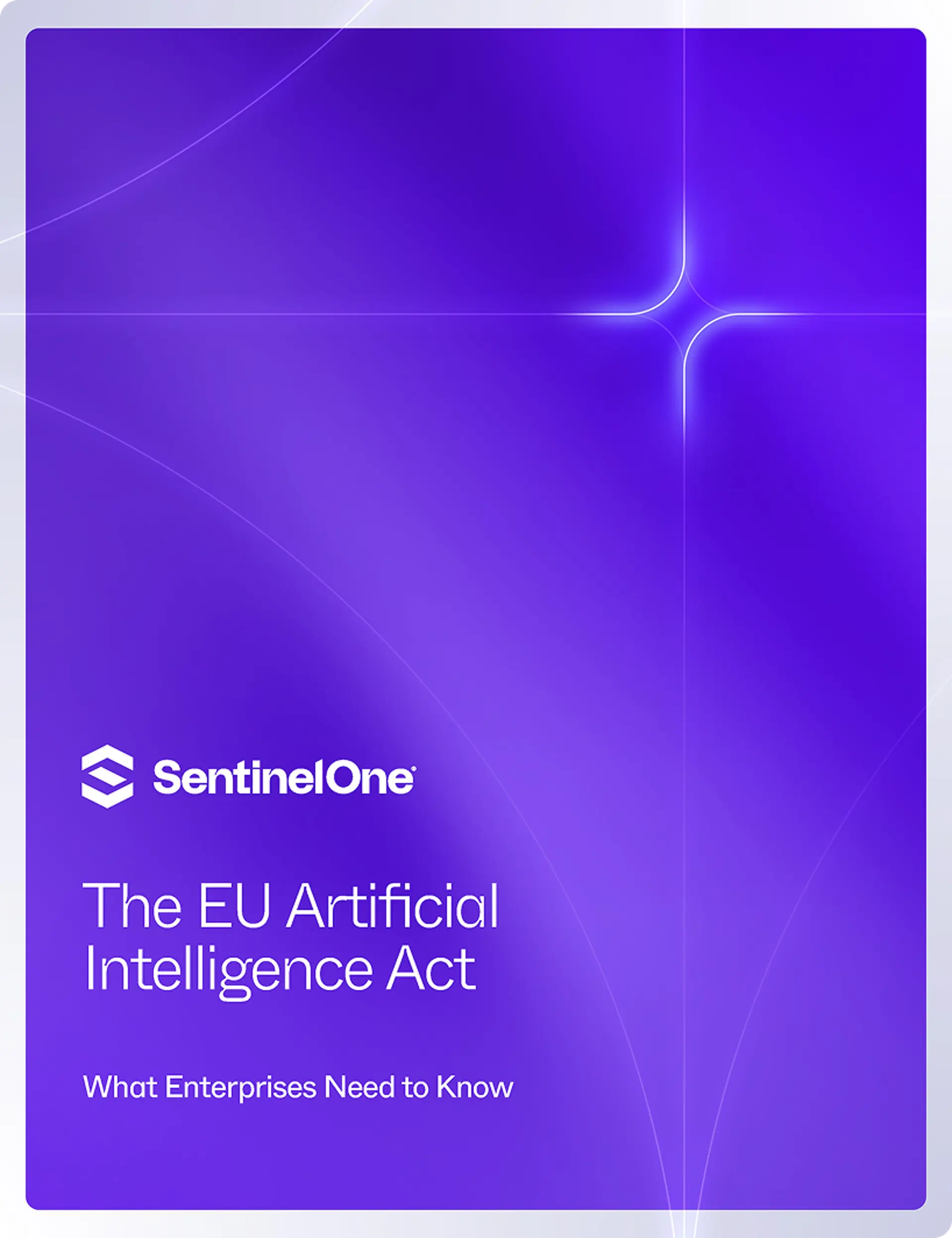 The EU Artificial Intelligence Act