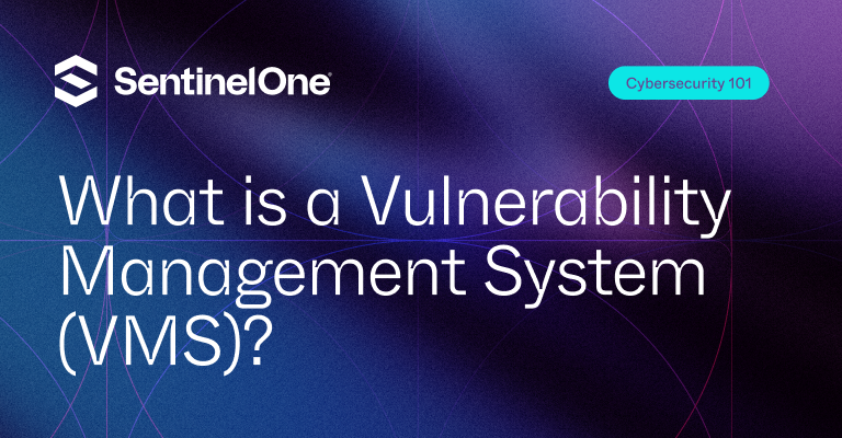 Vulnerability Management System - Uitgelichte afbeelding | SentinelOne