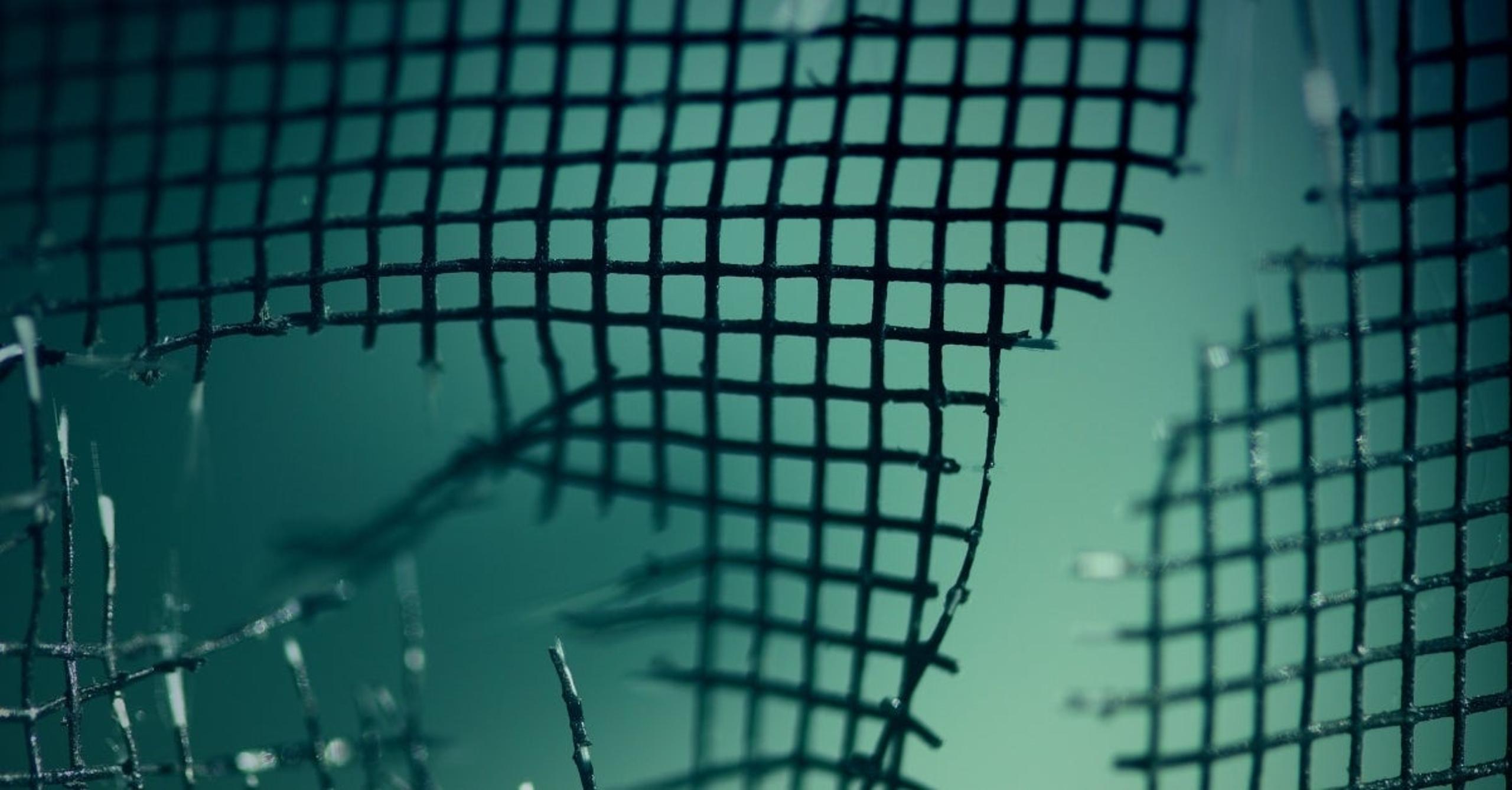 Gaza Cybergang | Unified Front Targeting Hamas Opposition