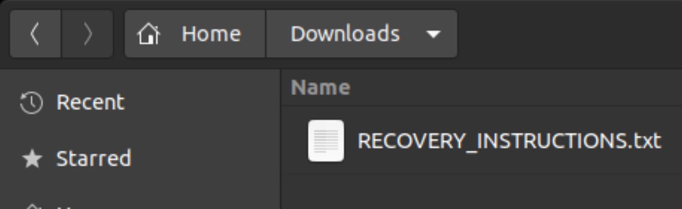 U-Bomb Ransomware - Recovery Instructions doc | SentinelOne