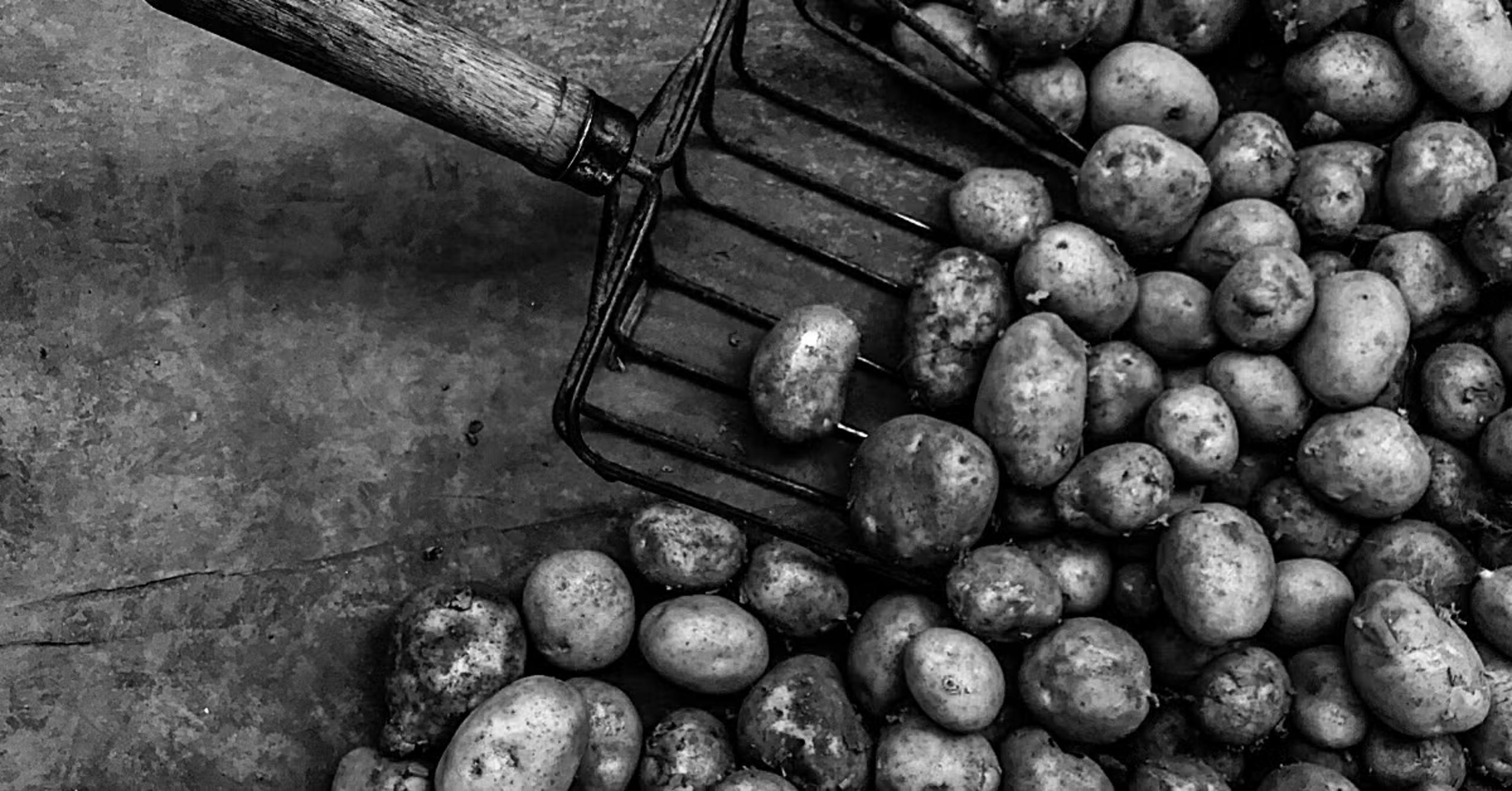 Copy-of-Relaying-Potatoes_-DCE_RPC-NTLM-Relay-EOP-7