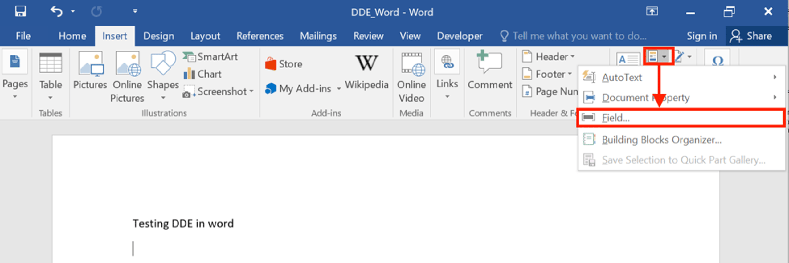 dde-in-word