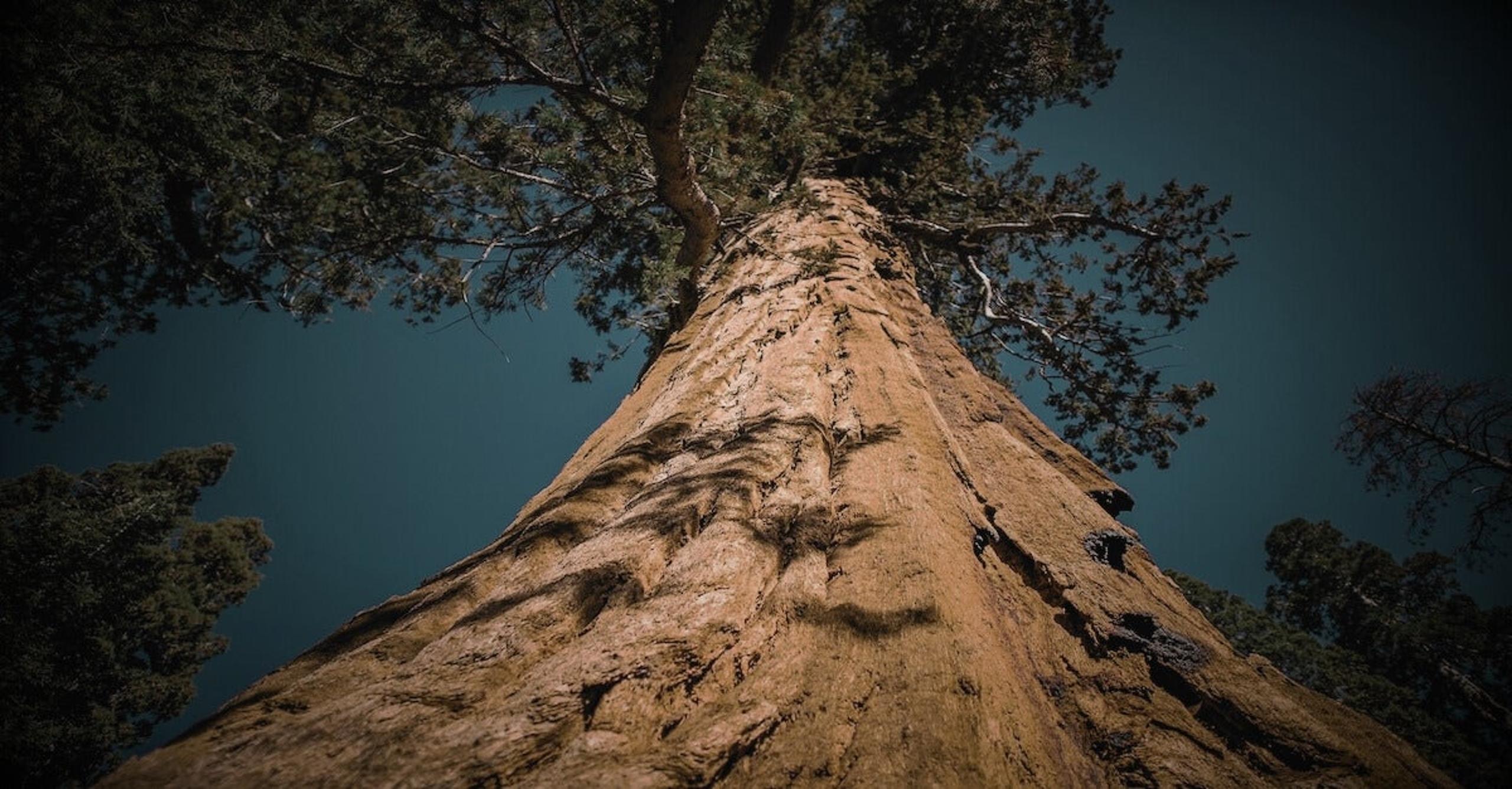 macOS Sequoia | What’s New in Privacy and Security for Enterprise?