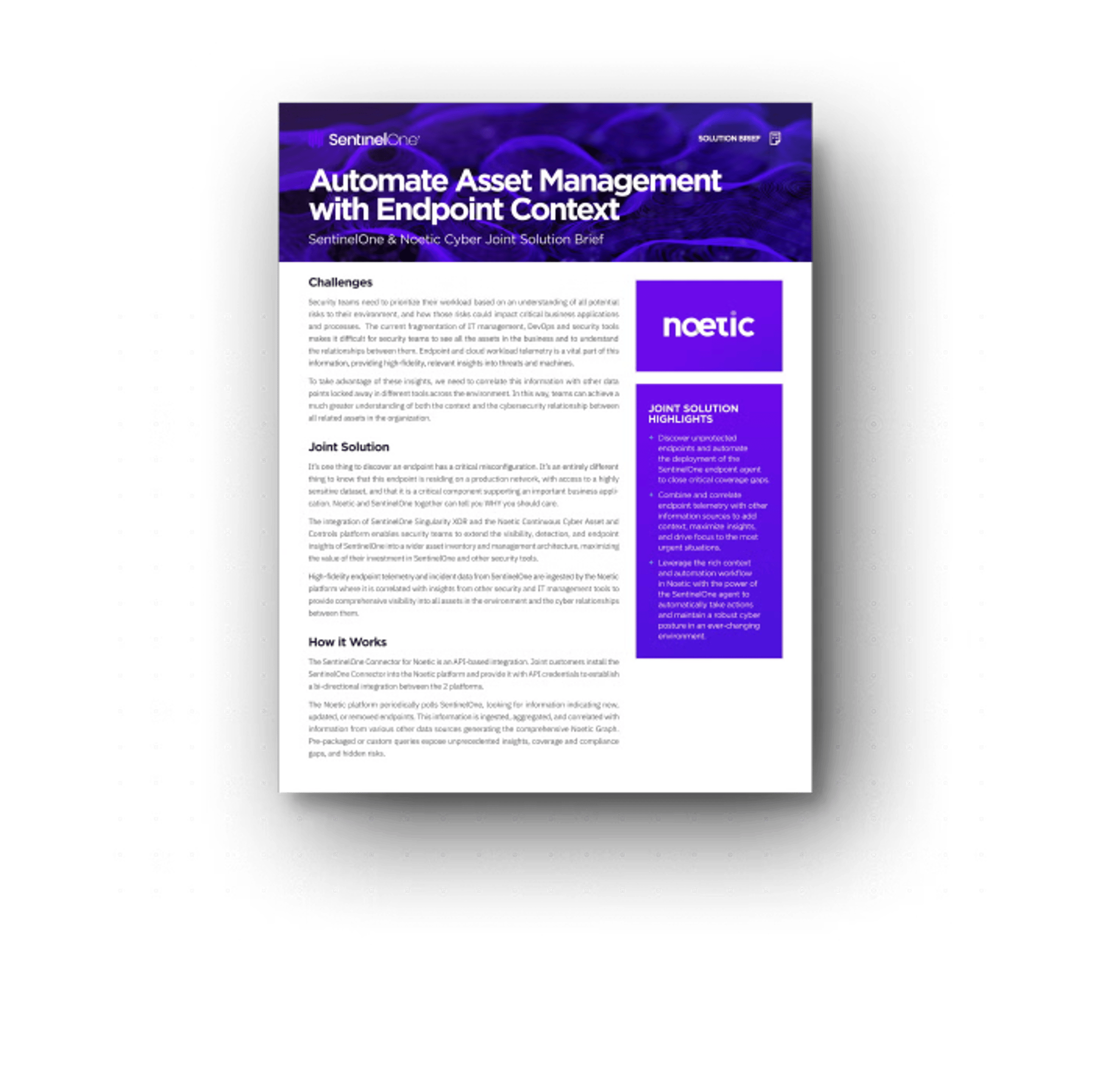 Noetic Solutionsbrief