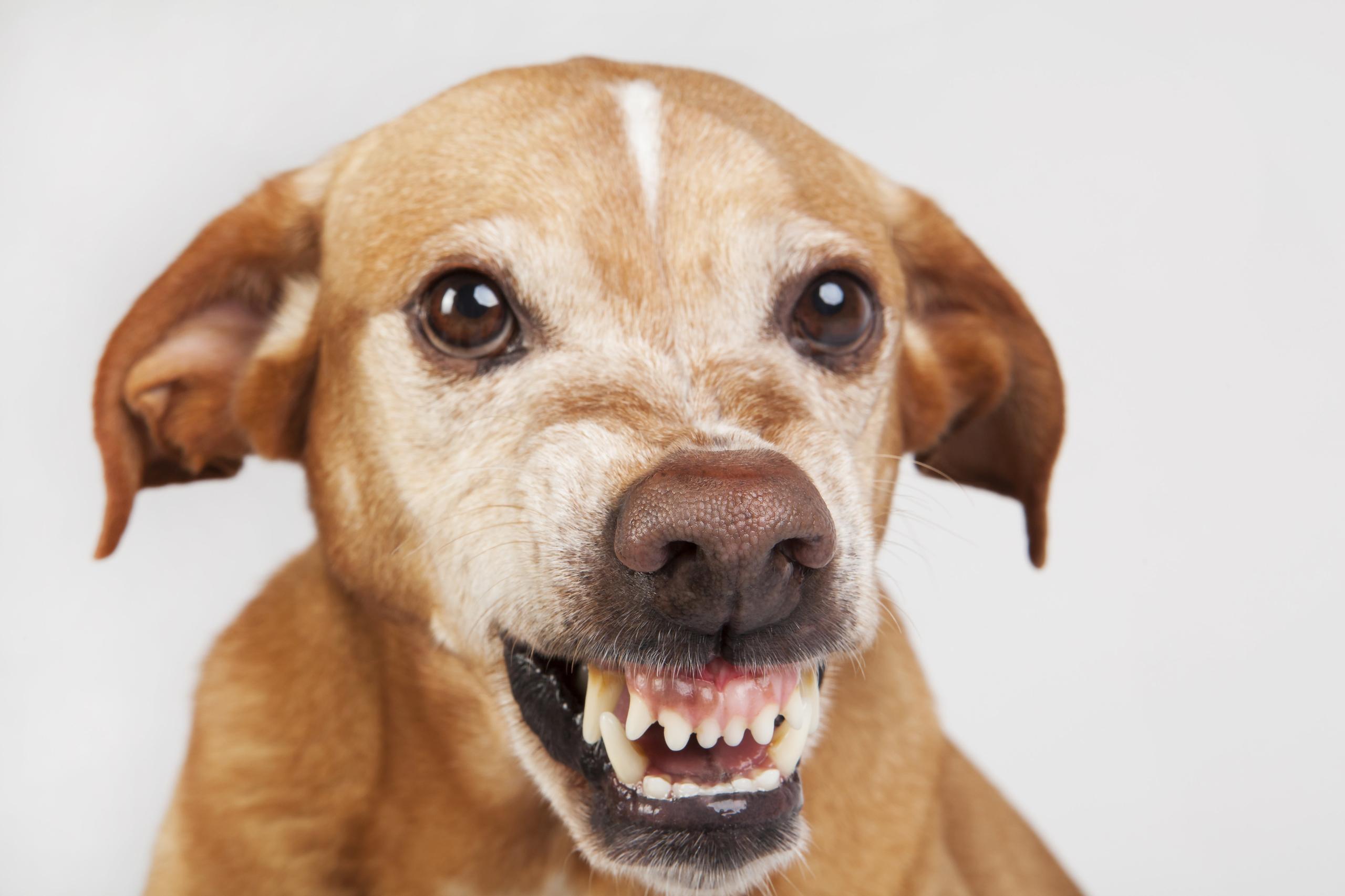 New Windows 10 File Type Can Be Abused for Running Malicious Applications