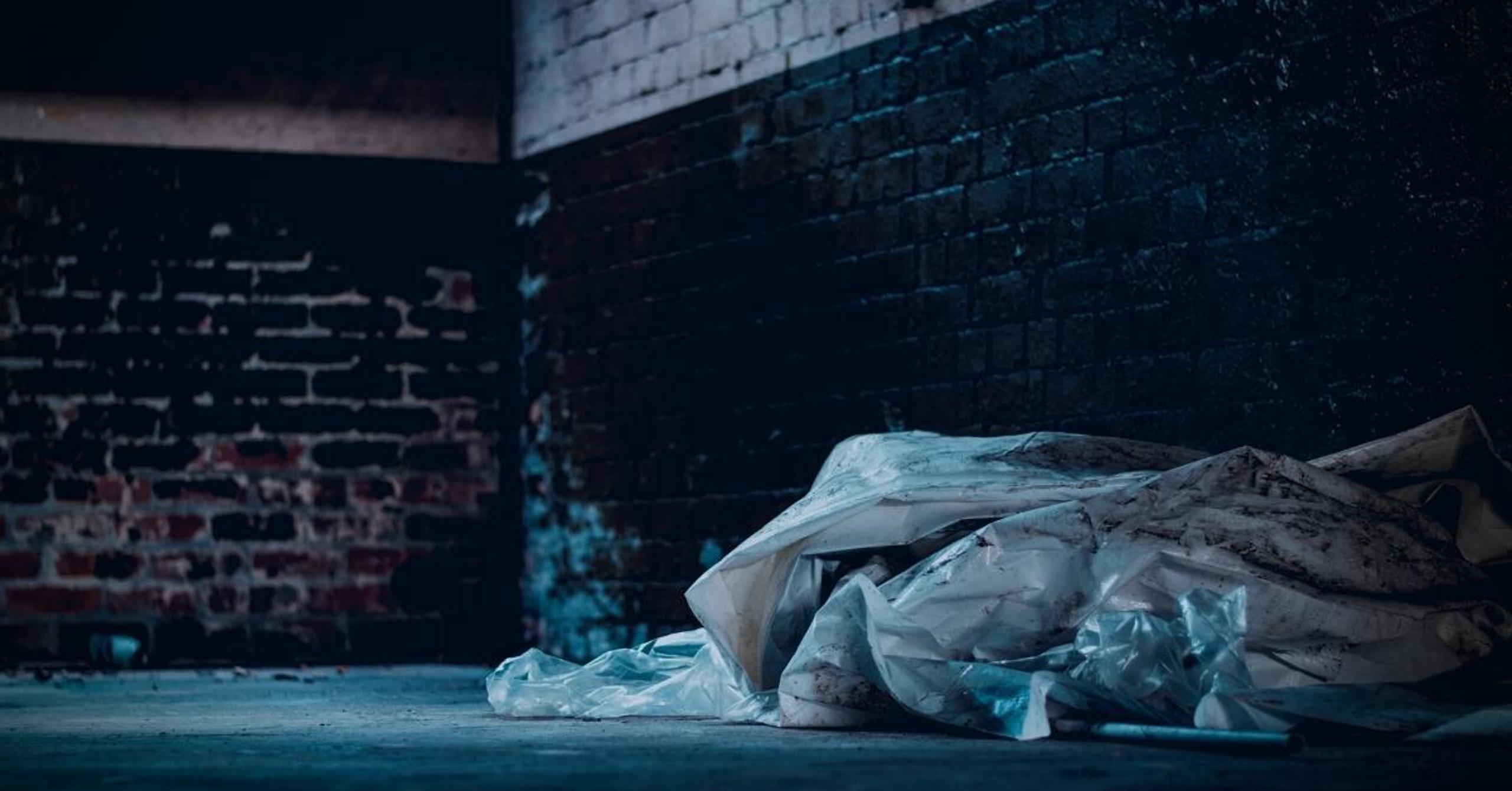 Another Brick in the Wall: Uncovering SMM Vulnerabilities in HP Firmware