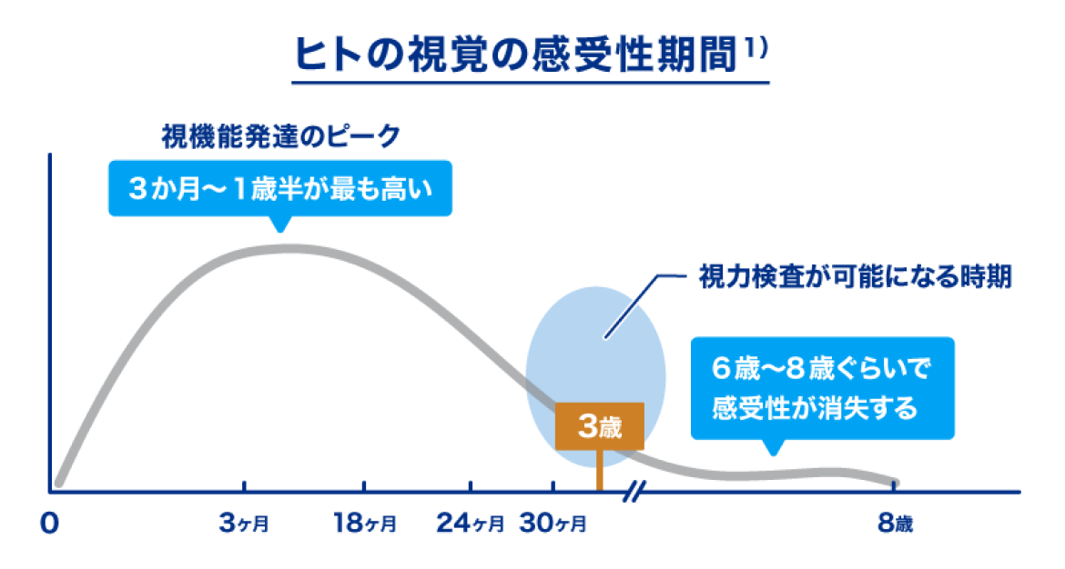 ヒトの視覚の感受性期間