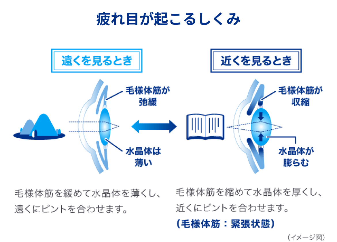 疲れ目が起こるしくみ(イメージ図)