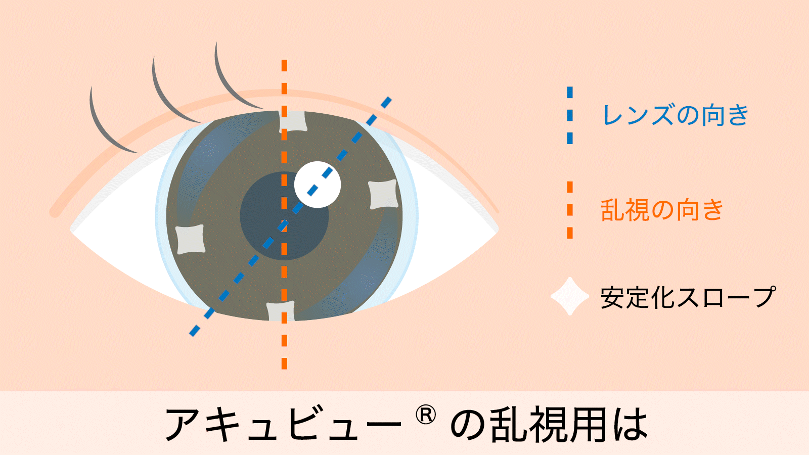 まばたきで定位置に戻るレンズ まばたきで定位置に戻るレンズ