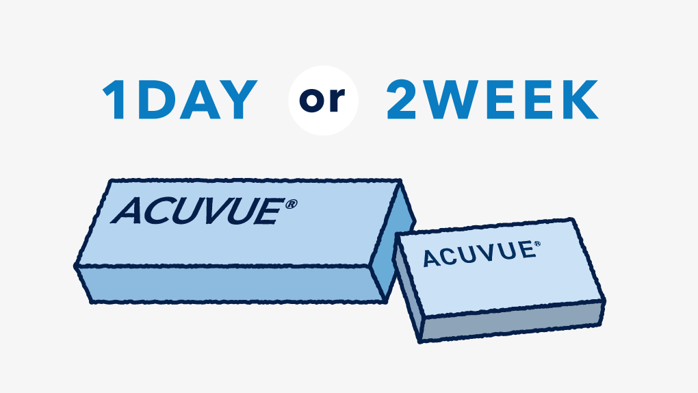 1DAY or 2WEEK 1DAY or 2WEEK