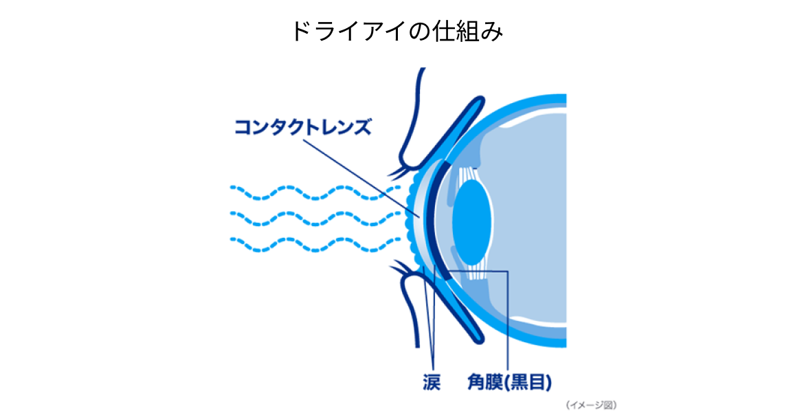 ドライアイの仕組み