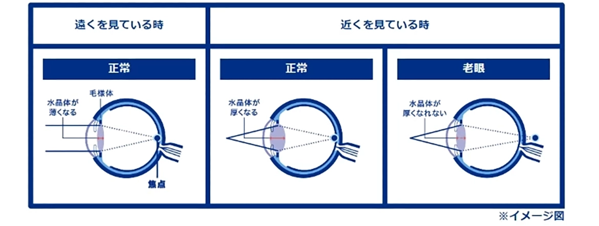 イメージ図：遠くを見ている時、近くを見ている時