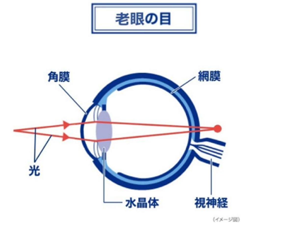 （イメージ図）老眼の目