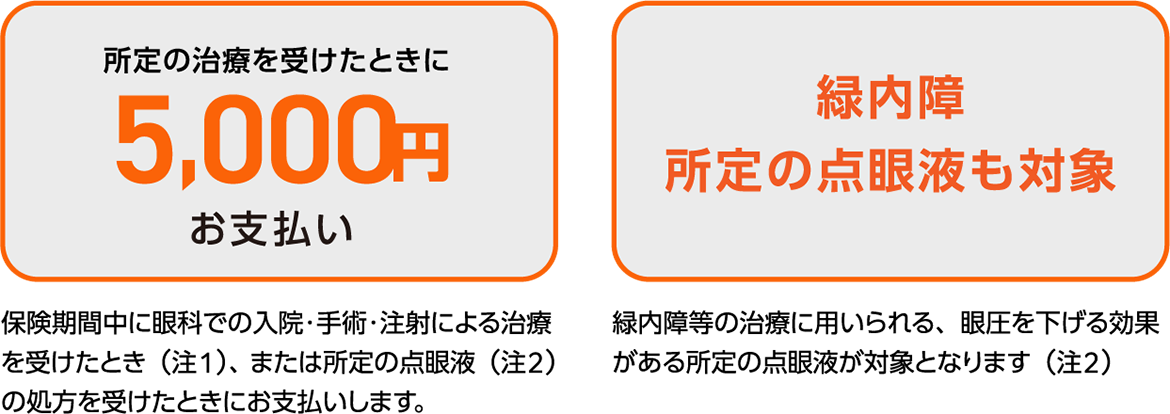 所定の治療を受けたときに5,000円お支払い　緑内障所定の点眼液も対象