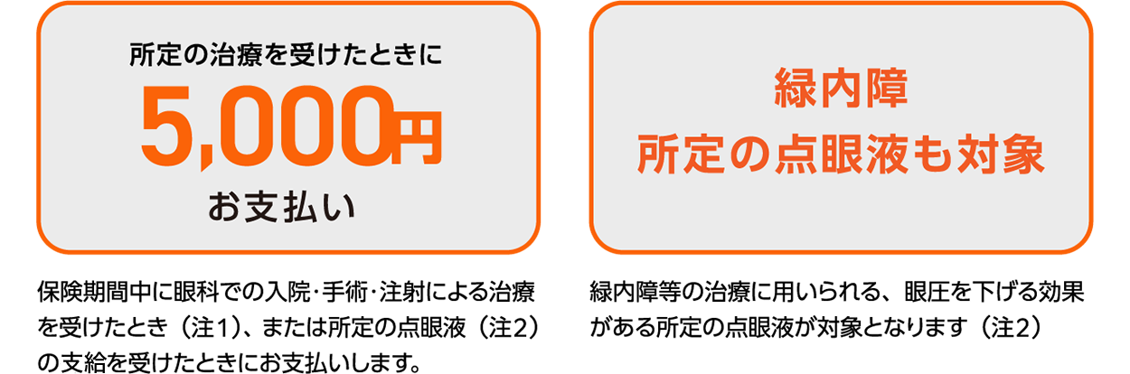 所定の治療を受けたときに5,000円お支払い 緑内障所定の点眼液も対象 所定の治療を受けたときに5,000円お支払い 緑内障所定の点眼液も対象