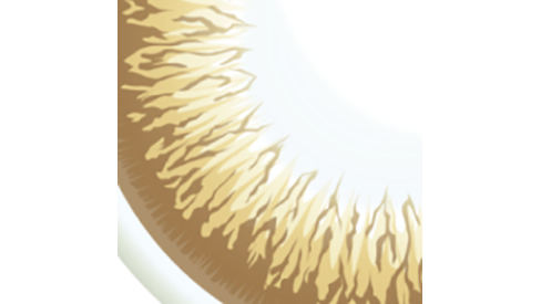 自然な瞳　ディファイン® イメージ図