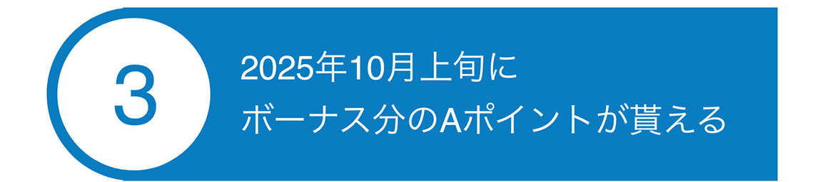 ③2025年10月上旬にボーナス分のAポイントが貰える