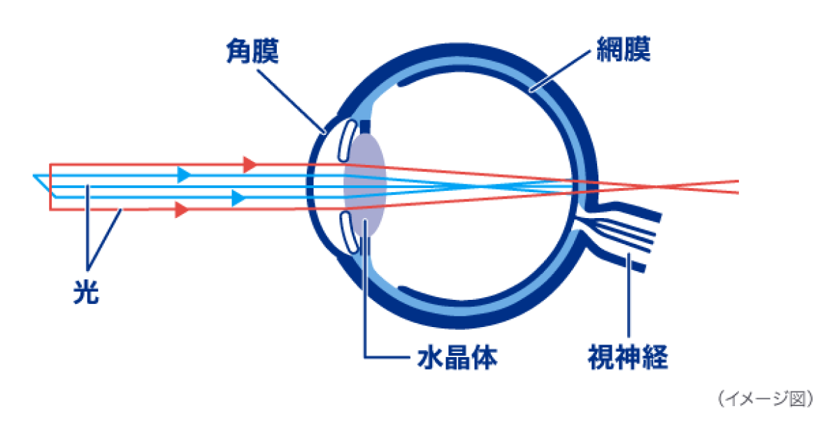 イメージ図