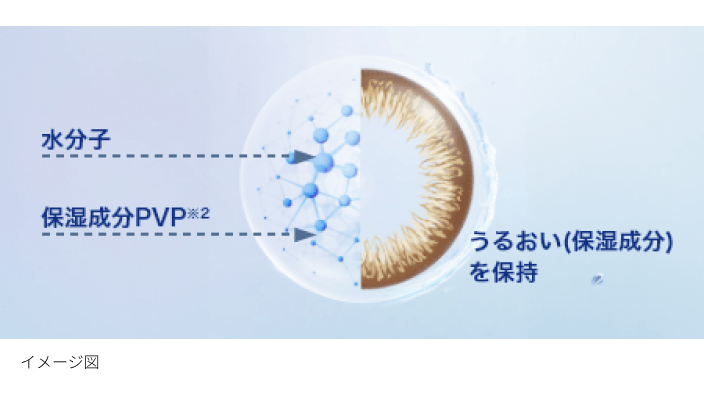 水分子　保湿成分PVP※2　うるおい（保湿成分）を保持