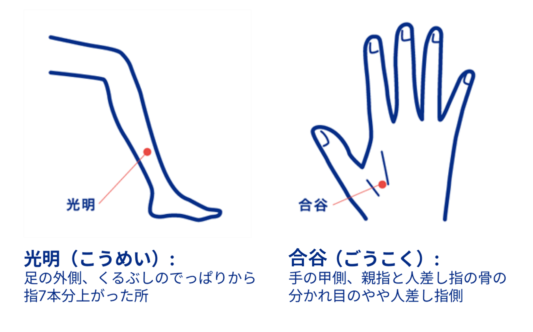 光明（こうめい） 金谷（ごうこく）