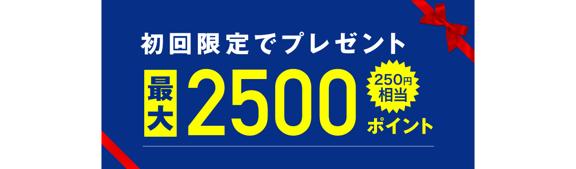 初回限定でプレゼント 最大2500ポイント 250円相当