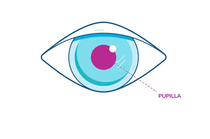 Illustrazione di un occhio che evidenzia la pupilla