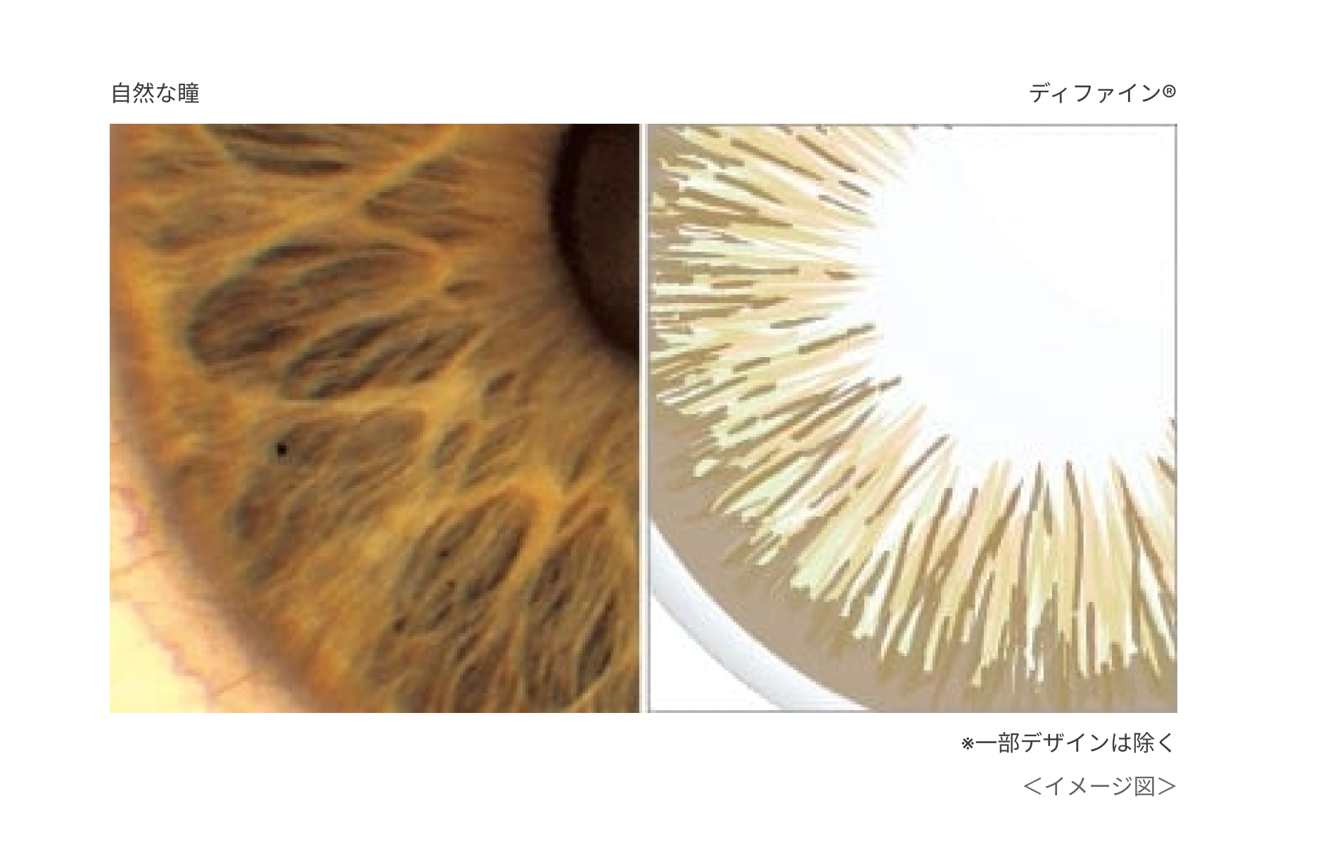 自然な瞳 ディファイン® イメージ図
