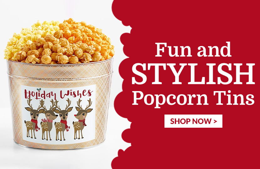 251024 TPF 2Spot 830x540 Popcorn Tins Everyday and Holiday Update TWP200E4