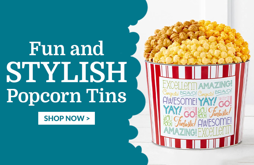 251024 TPF 2Spot 830x540 Popcorn Tins Everyday and Holiday Update TWP103E4