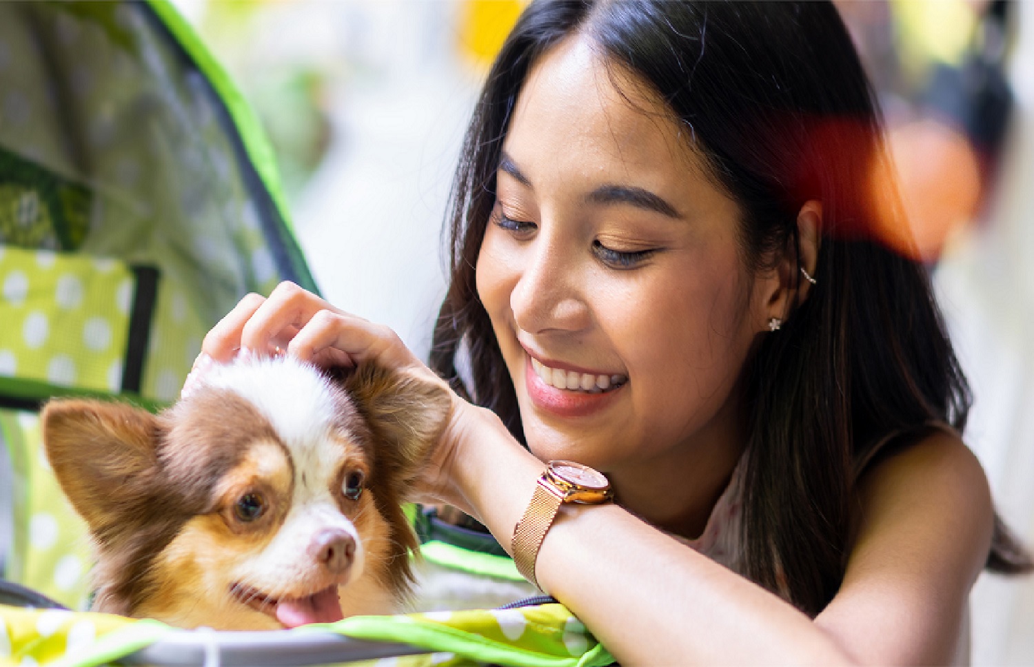 THE SOUTHSIDE QPets Plus