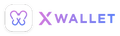 X 大額私人貸款